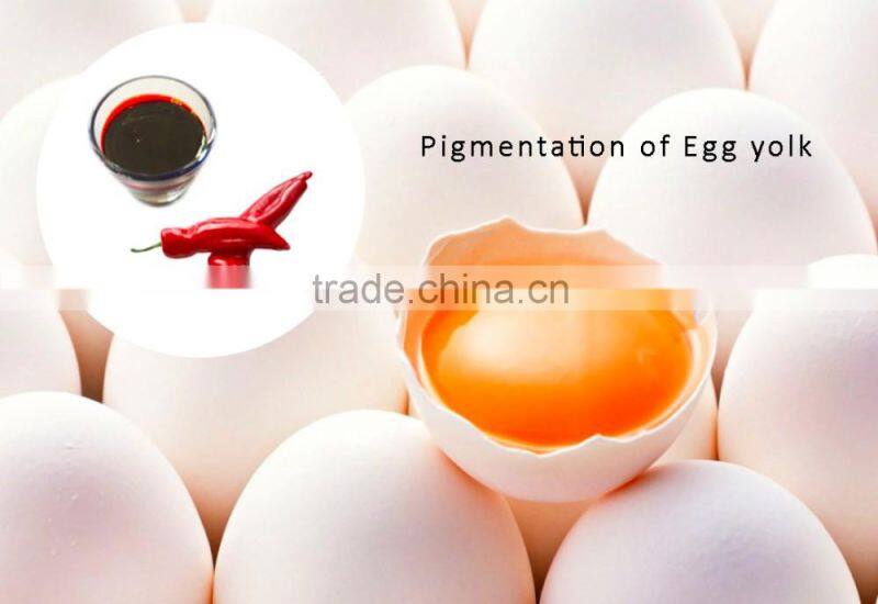 Paprika Oleoresin for Egg Yolk pigmentation