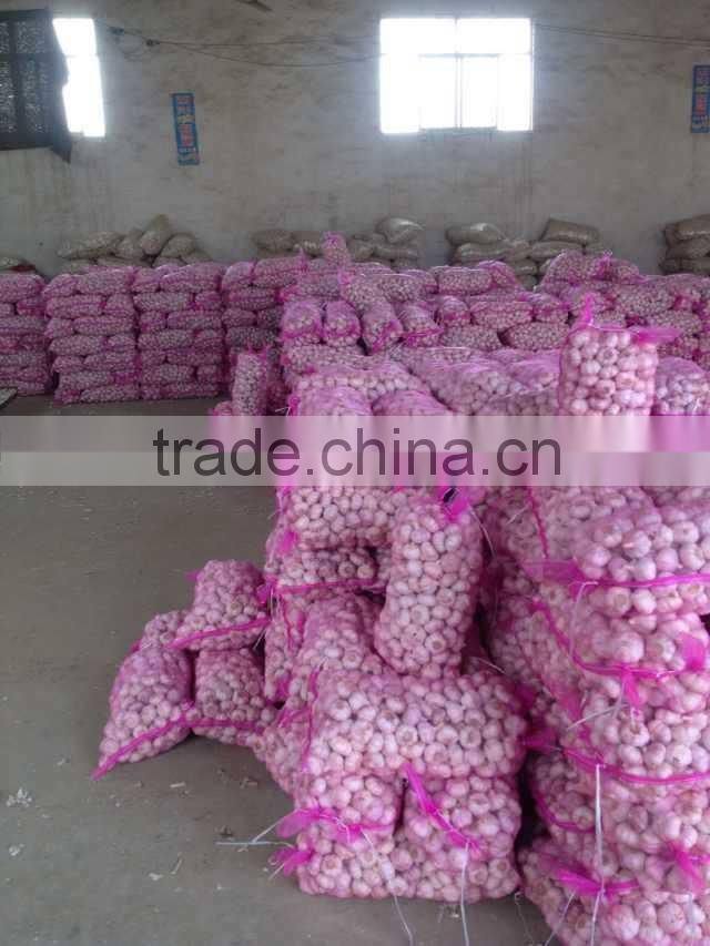 2016 new Fresh White Garlic at cheap price