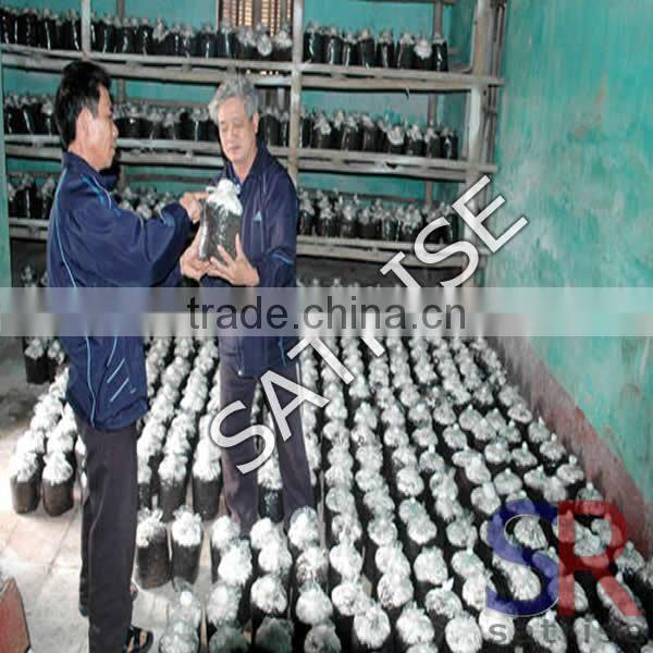 hot! hot!! high-tech dryer machine for sale mushroom cultivation