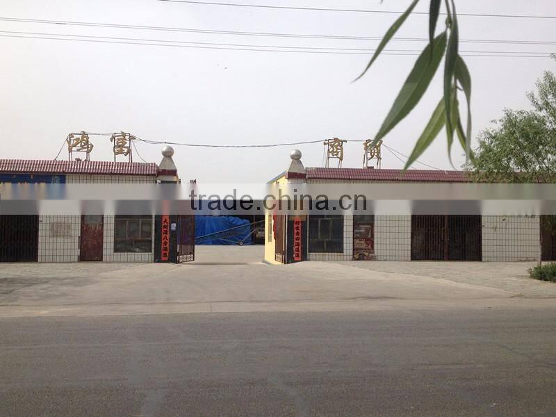 organic bulk black watermelon seeds for export grade