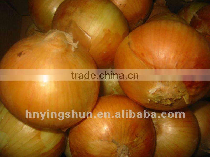 staiinless steel automatically cortadora de anillos de cebolla