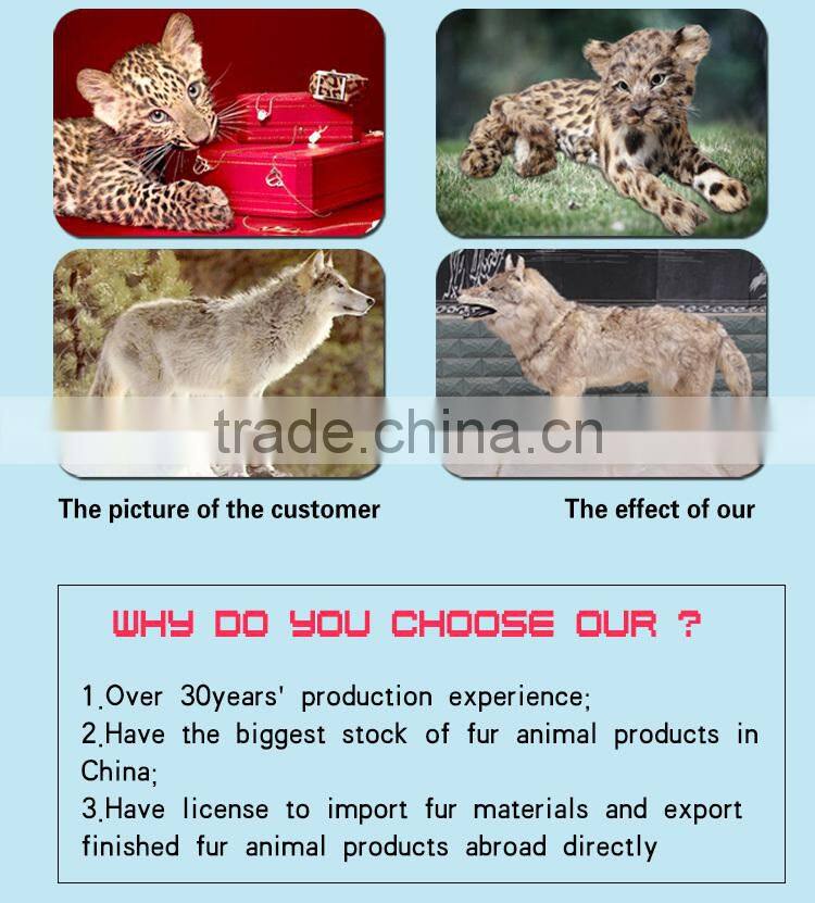 Top level most popular plush soft kiwi