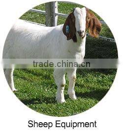 Pig automatic water level controller