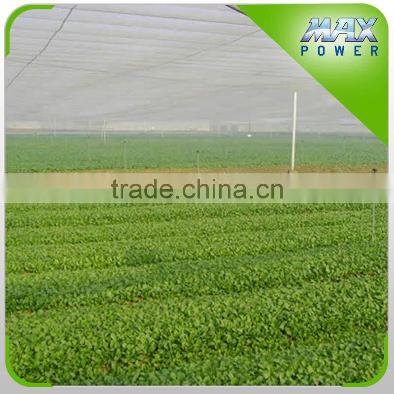 Insect Net applied to Agricultural greenhouse