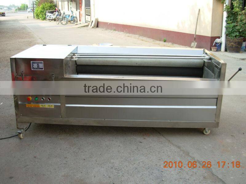 cheap price nylon brush roller type carrot washing machine