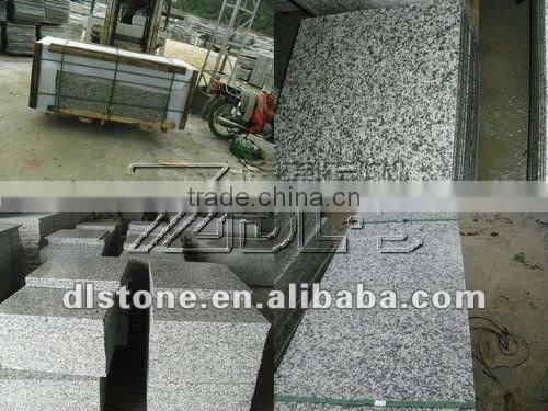 Chinese g439 big white flower granite