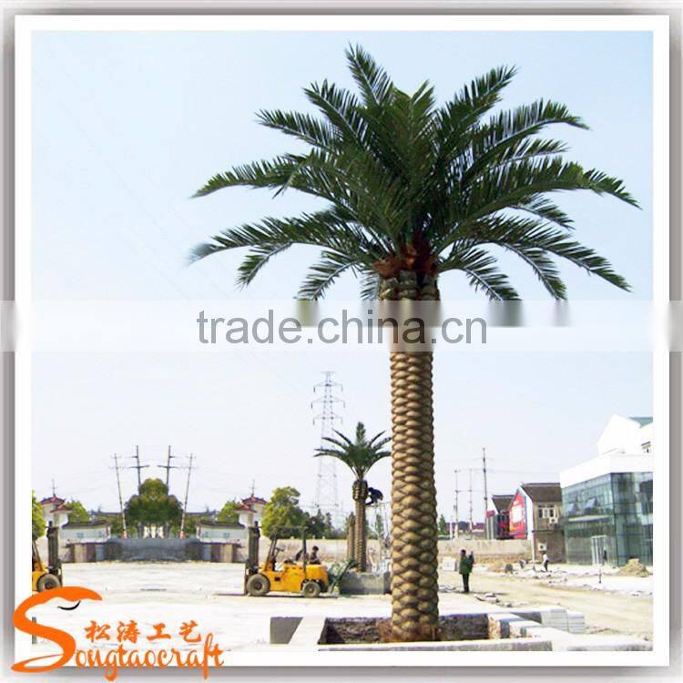 Preserved and Replica Trees plam data tree