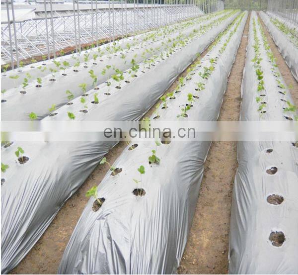 PE agricultural black and silver mulch film