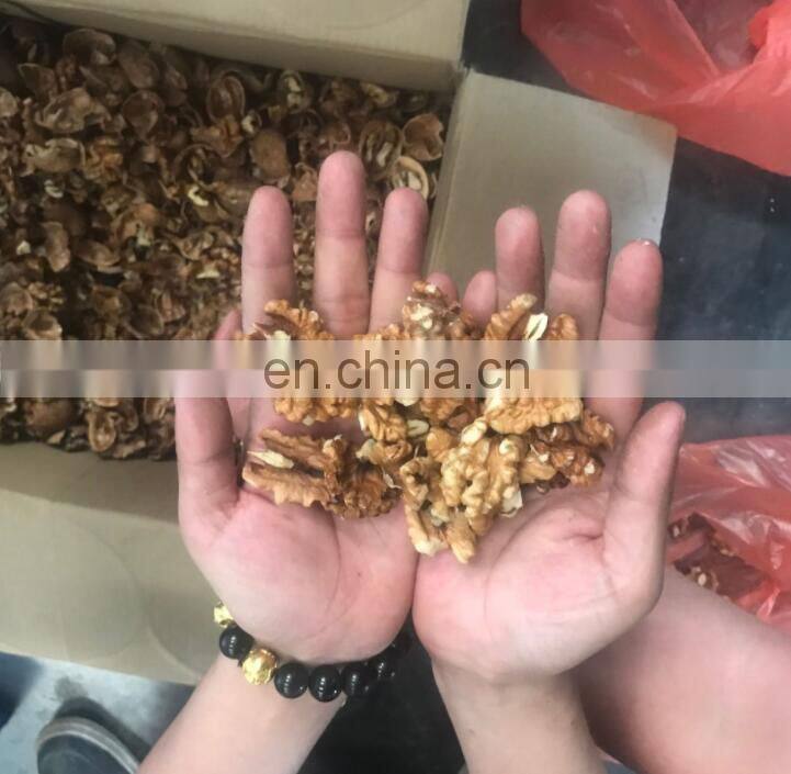 Walnut cracking processing line | walnut nuts shelling machine In United States