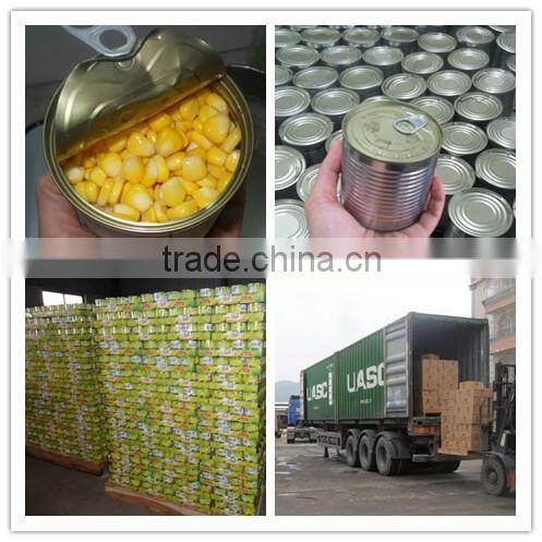 Canned Red Kidney Beans