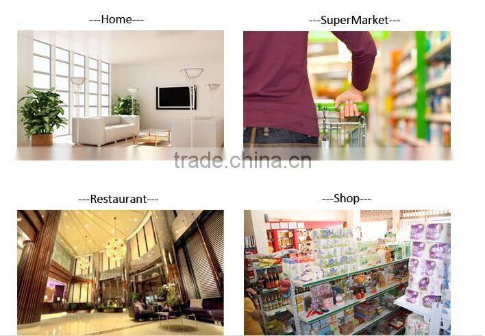 Home surveillance kit wireless network IP cameras