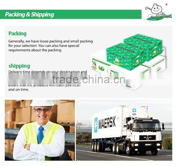 Wholesale potato/Potato low price/ Fresh potato from China