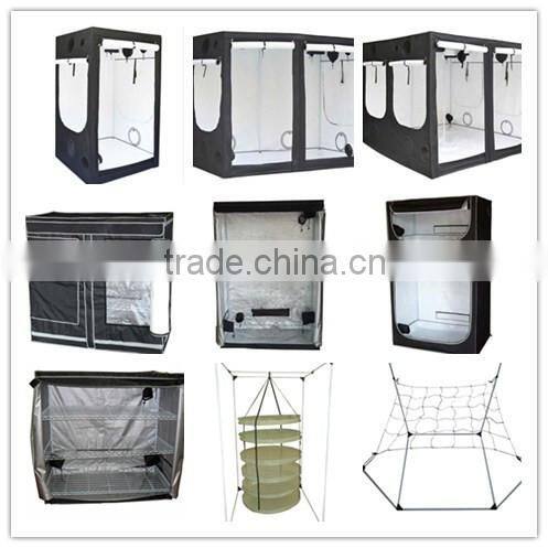 PVC Free 600D Hydroponic Grow Tent for Dark Room Uses 240 x 240 x 200 cm