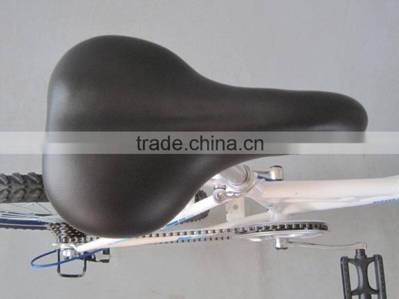 22 Inch Steel Mountain Bike 7 Speed