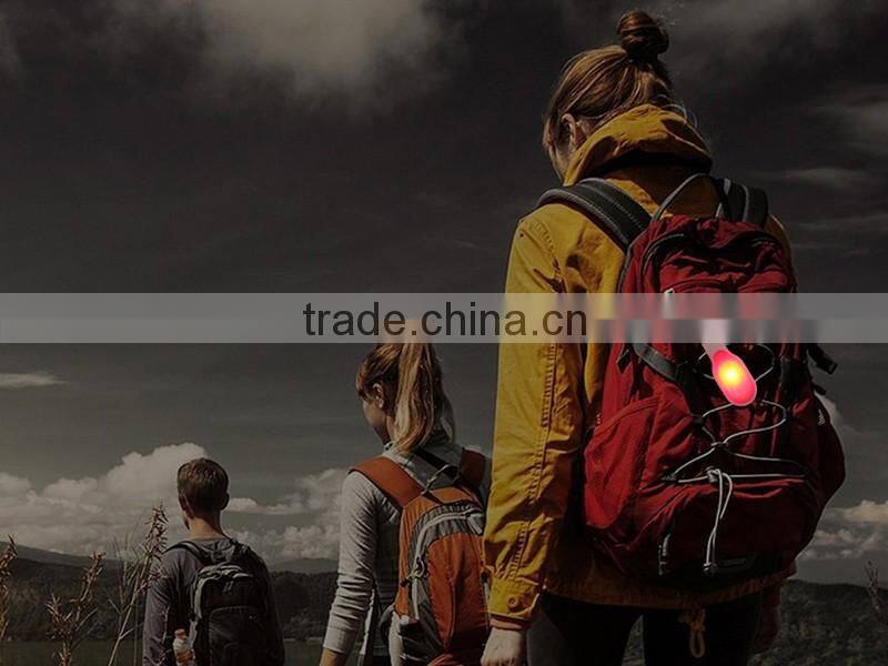 2* Button Battery Power Supply LED Collar Clip Light