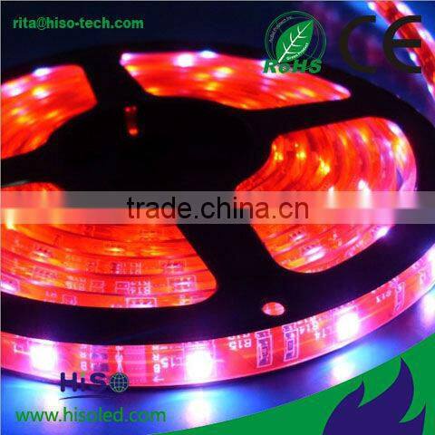China 3528 epoxy IP65 flexible LED strip ribbons