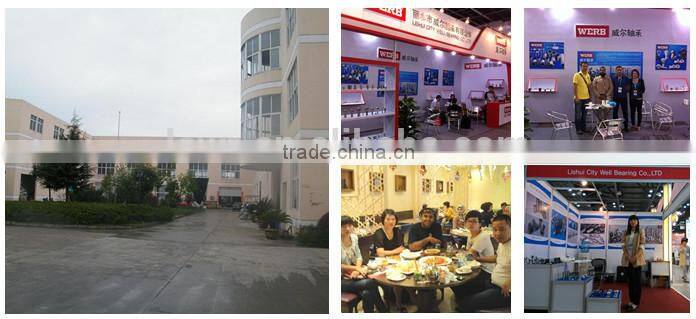 High Precision Competetive Price 1605 China CNC Rolled Ball Screw