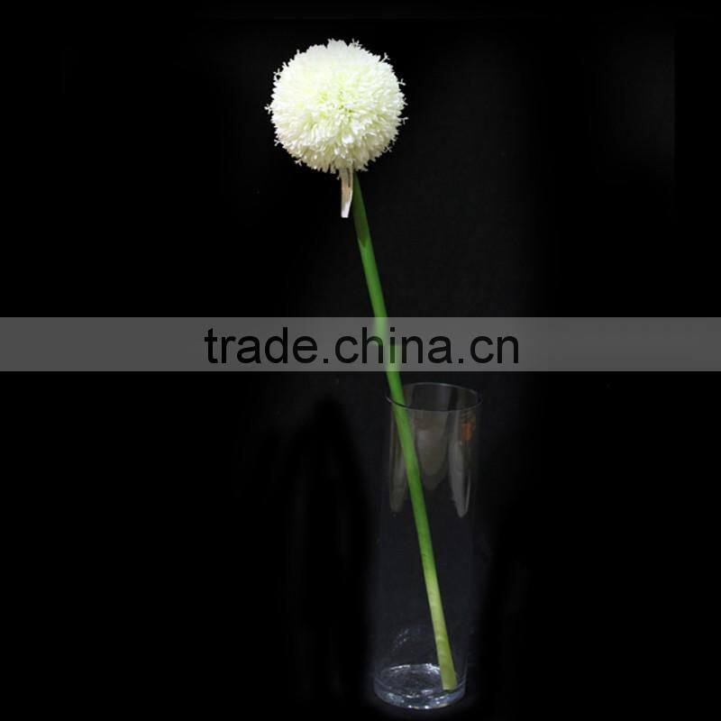 new products 2016 innovative product fistular onion flower with different size