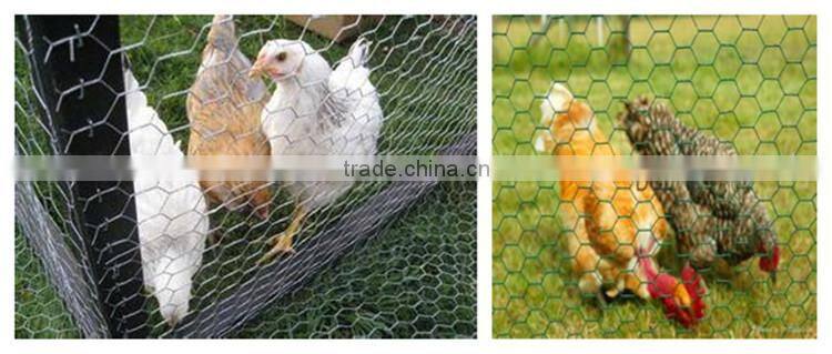 galvanized chicken wire mesh cage