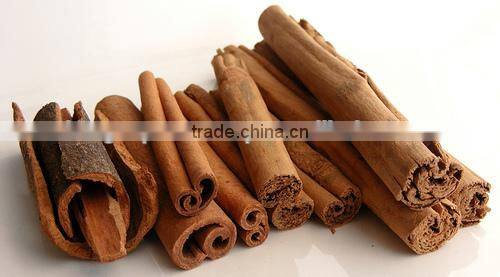 Pure Cinnamon (Dal Chini) Oil For Export