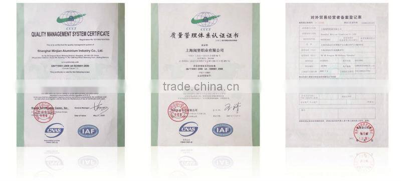 OEM aluminum Pivots Hinge with ISO certification