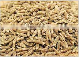 Cumin