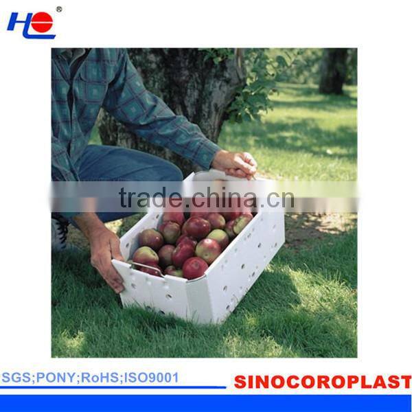 Foldable Plastic Fruit Box