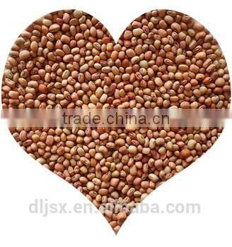 JSX organic mung bean brown eye beans China supply Grade A brown cowpea