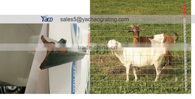 Factory price steel T post for cattle fence
