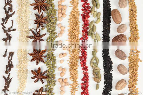 mutli-functional Stainless steel grain grinder/corn grinder/maize grinder/mill for grinding corn electric