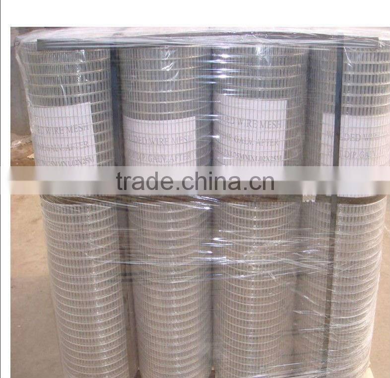 Welded Wire mesh(super quality and competitive price)