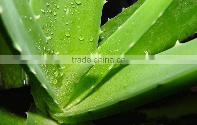 Essential Sunflower Oil solvent Extractor