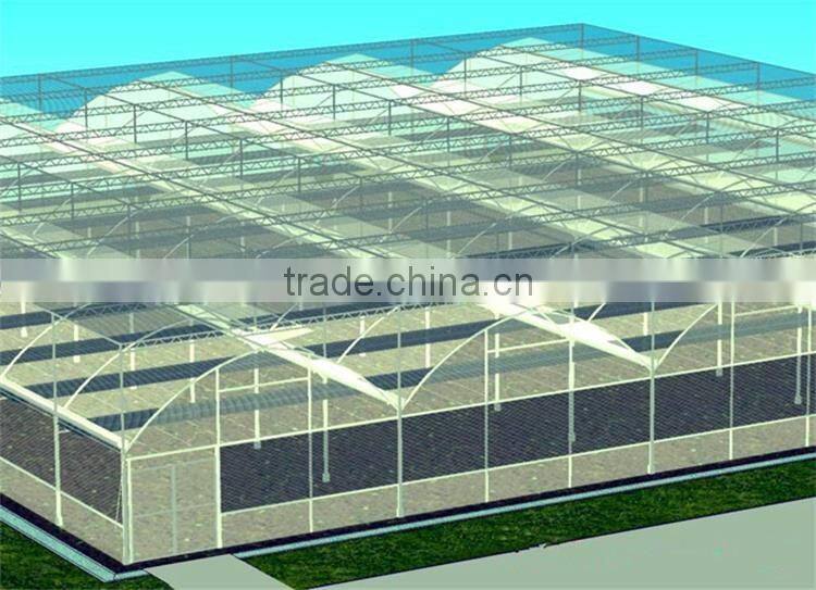 Galvanized Tube Structure Multi-Span Greenhouse Used for Growing Plantings