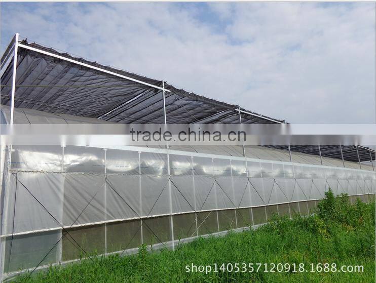 High quanlity green house for vegetables