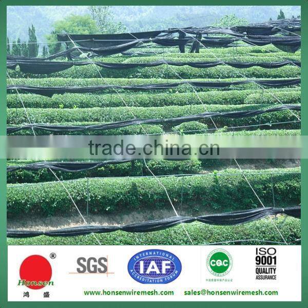 HDPE Monofilament Shade Netting