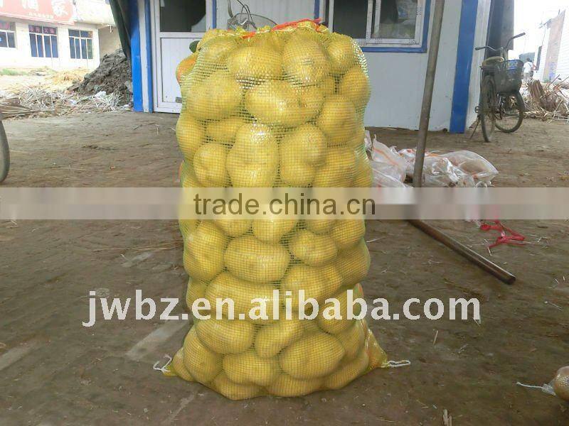 hign qulity pp leno mesh bags for potato with lable