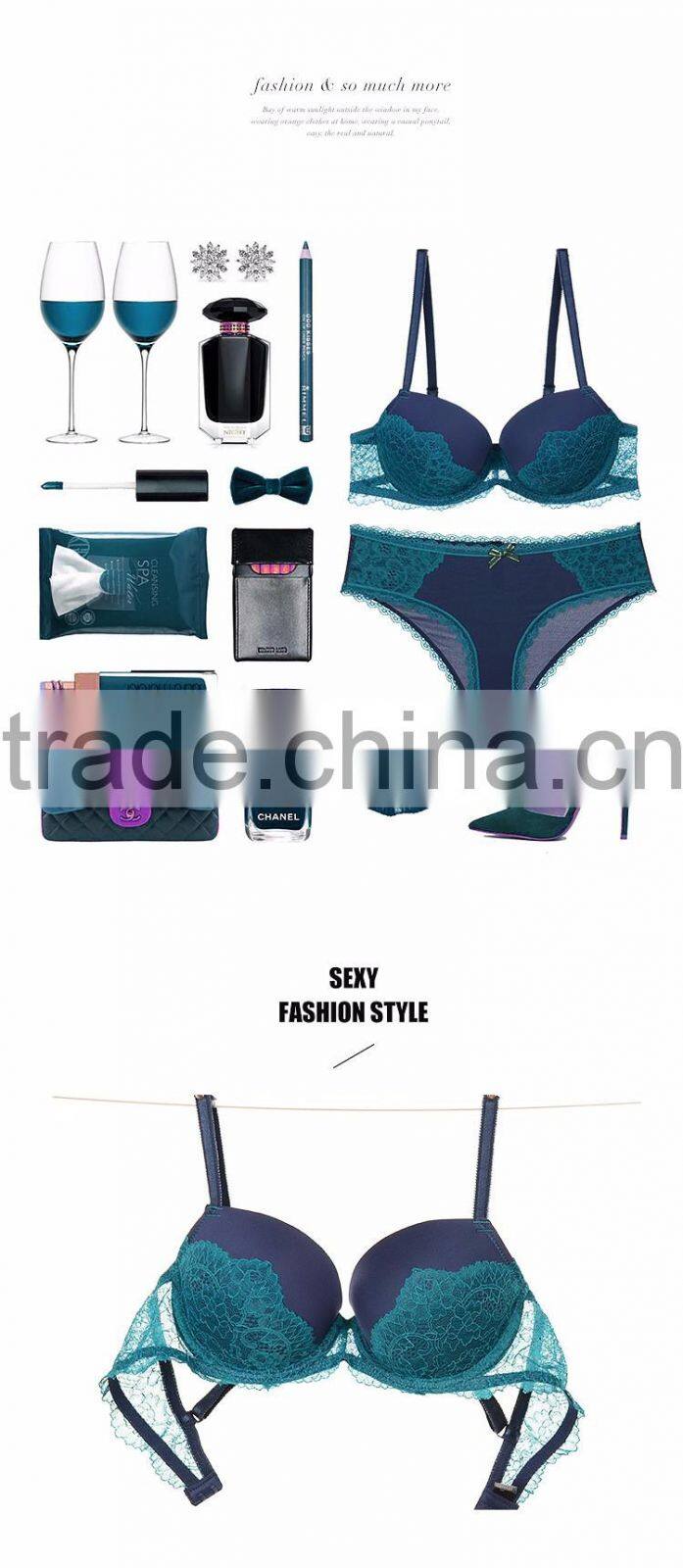 Net western style underwear white sexy lace bra transparent lace bra