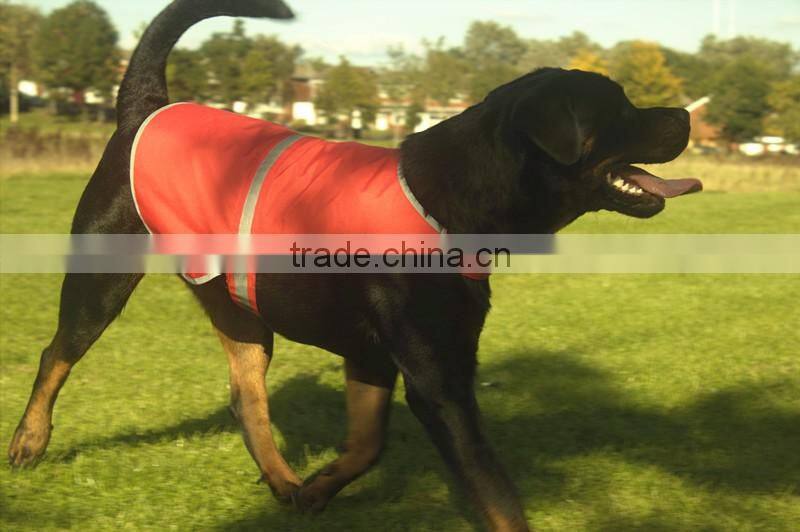 hi vis protective neoprene dog vest