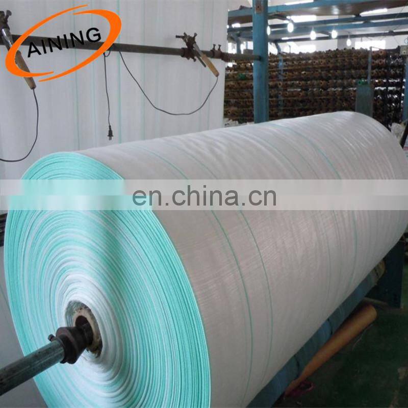 Agricultural vegetable PP woven anti grass Ground cover/plastic pp tejido