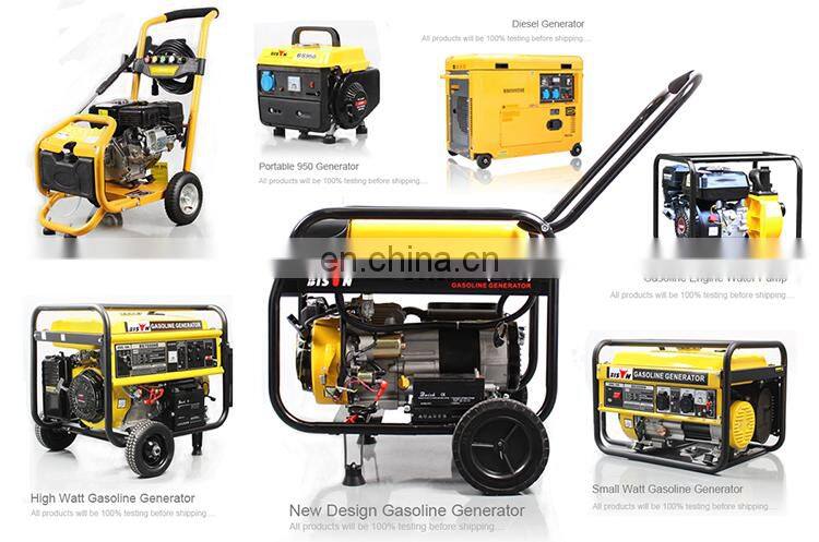 BISON(CHINA) Portable 2.8KW Gasoline Generator 7HP