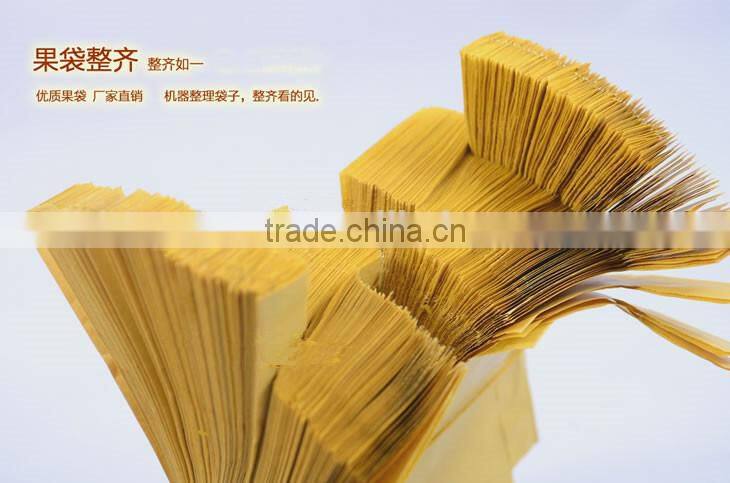 Fruit cover peach bag/kiwi fruit bag/mango bag