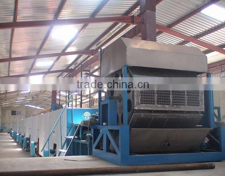 Paper Pulp Automatic Fruit Tray Production Line