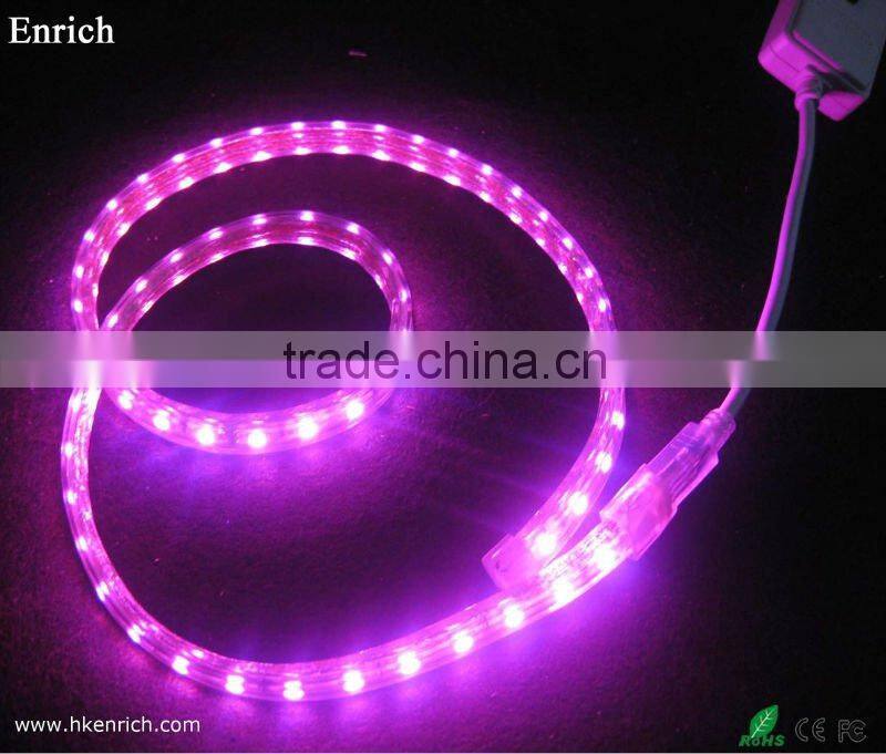 Waterproof Decoration car led strip