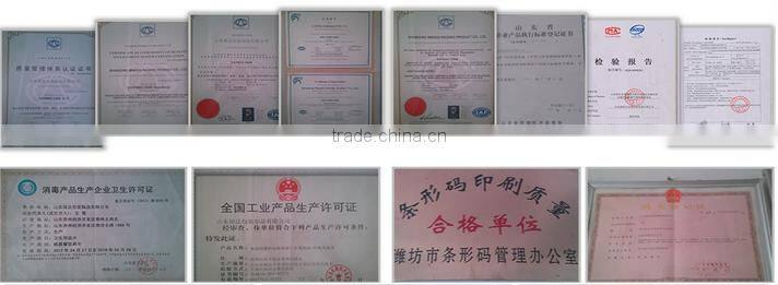 Shandong supplier Beautiful food paper bags