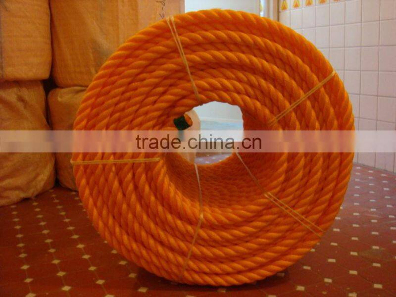 Hot sale polypropylene monofilament rope