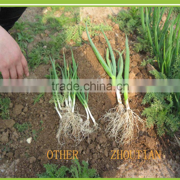 Bio fertilizer Root Promoter Plant Growth Regulator root stimulate rooting hormone
