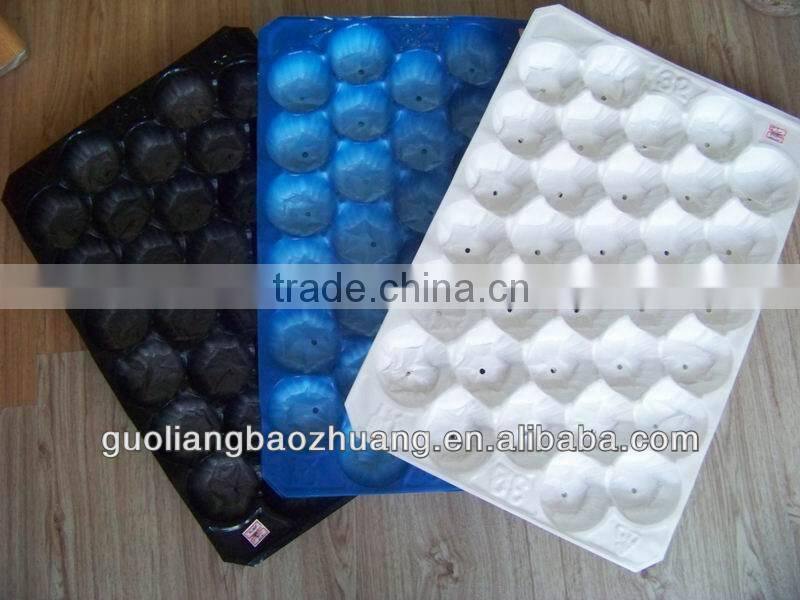 Different Sizes Free Samples Food Plastic Tray Packaging
