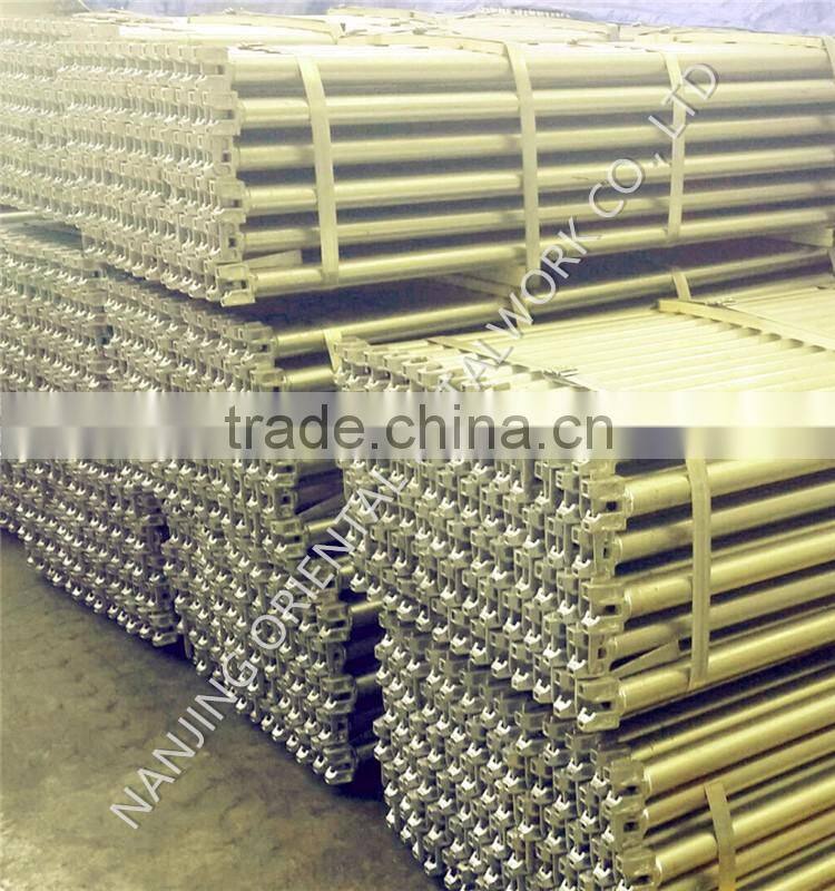 Hot DIP Galvanized Ringlock Scaffolding Ledger