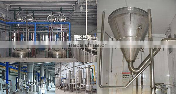 GMP manufactor organic garcinia cambogia extract hca 50%