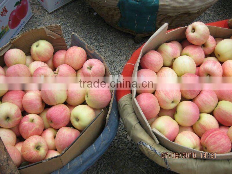 Fresh Royal Gala Apple